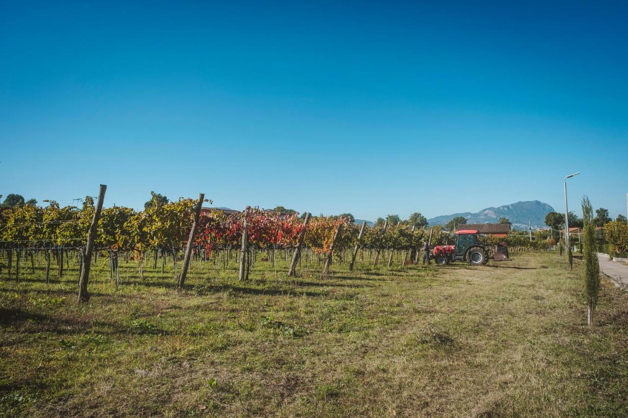 Agriturismo Bellofatto Torella dei Lombardi Dış mekan fotoğraf