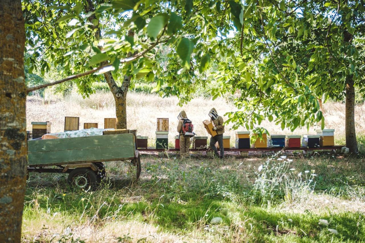 Agriturismo Bellofatto Torella dei Lombardi Dış mekan fotoğraf