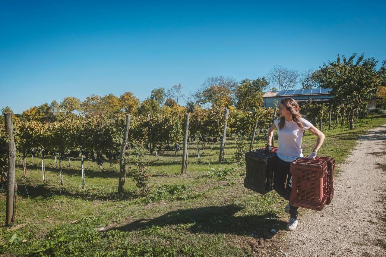 Agriturismo Bellofatto Torella dei Lombardi Dış mekan fotoğraf